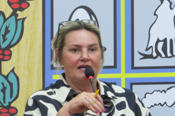 Ana Paula solicita urgência na implantação de câmeras “detecta” na cidade 