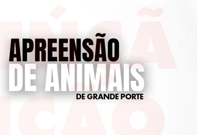 NABUCO APROVOU LEI MUDANÇAS NA LEI DE CIRCULAÇÃO DE ANIMAIS DE GRANDE PORTE 